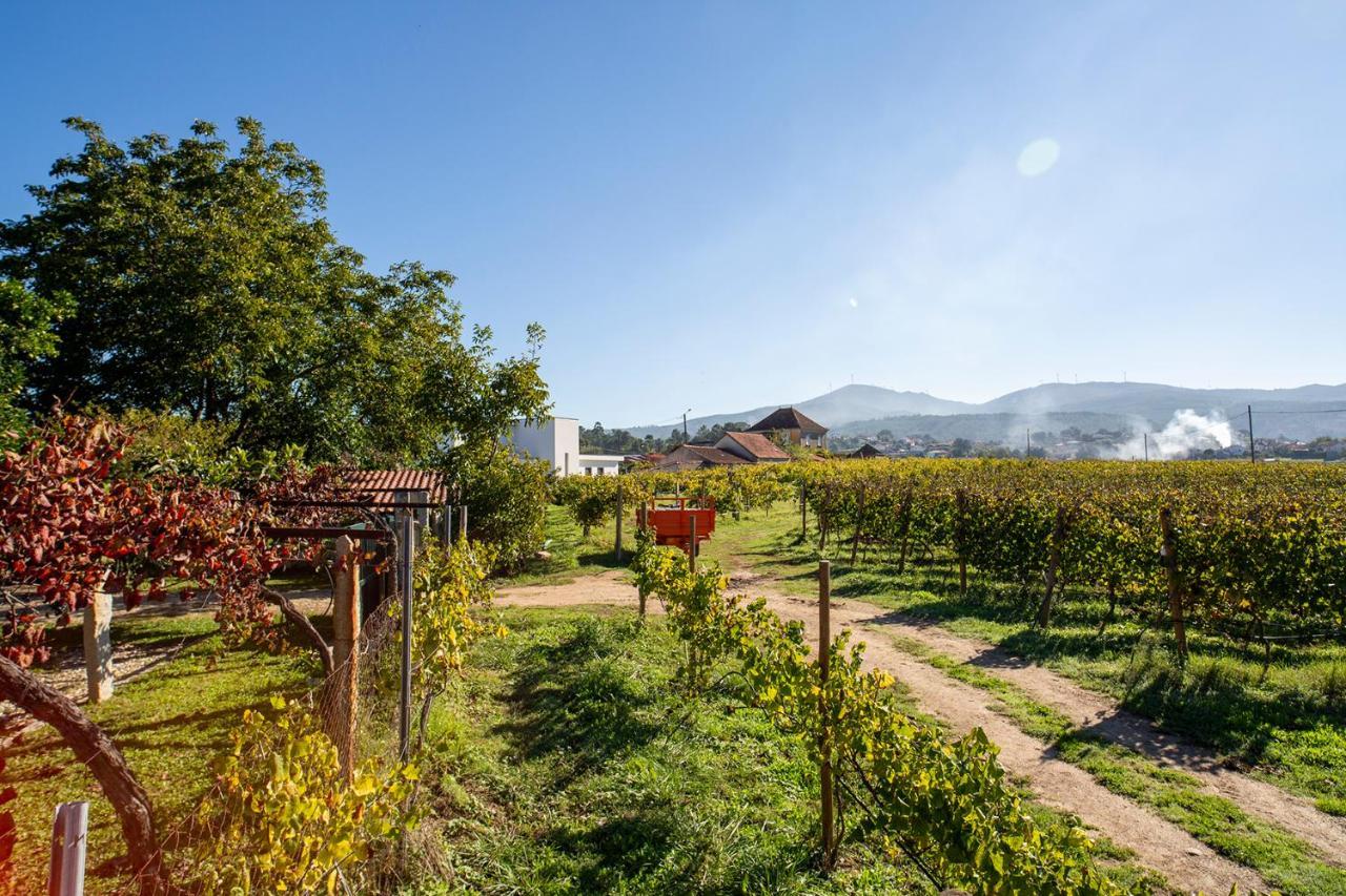 Quinta De Vila Nova - Agroturismo Monção Екстериор снимка